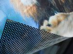perforated-window-vinyl